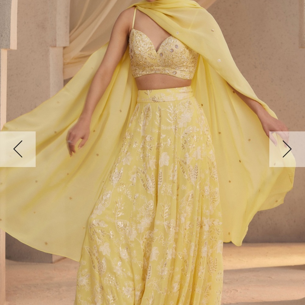 Anita Dongre Alayna Skirt Set